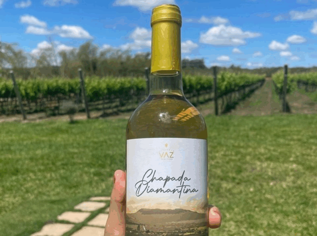 Rota do Vinho da Chapada Diamantina desperta interesse de profissionais do turismo, no Paraná e em São Paulo