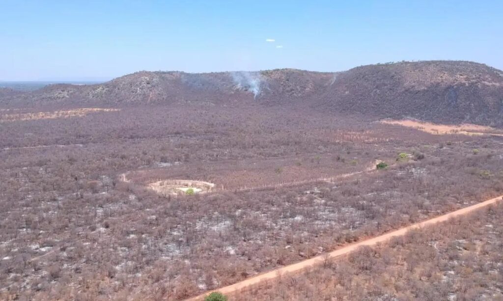 Nove estados registraram mais de 41 mil crimes ambientais em dois anos