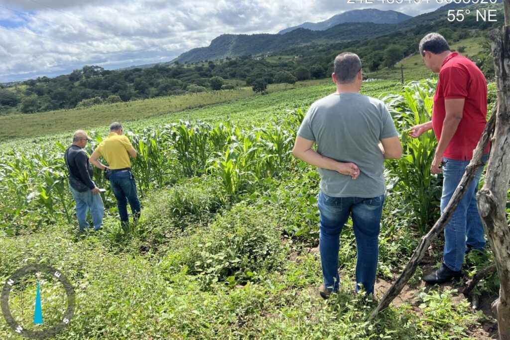 Foto: Divulgação - SEMMAM