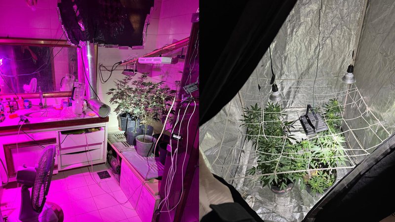 PF desarticula esquema milionário de tráfico de drogas e armas em bairros de luxo de Salvador e RMS 