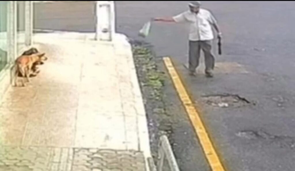 Foto: Reprodução / Divulgação / @portalg1