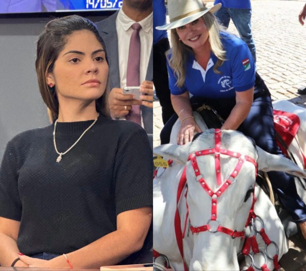 Foto: Reprodução / Divulgação