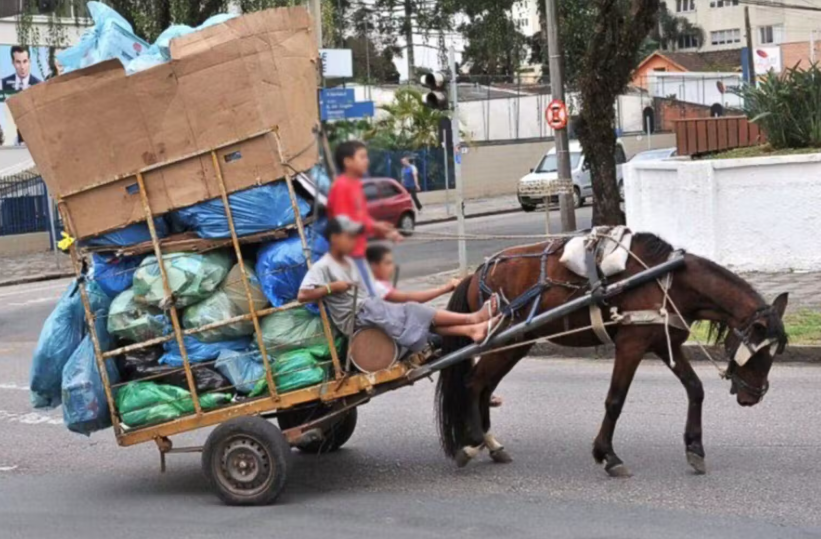 Foto: Reprodução/Soama