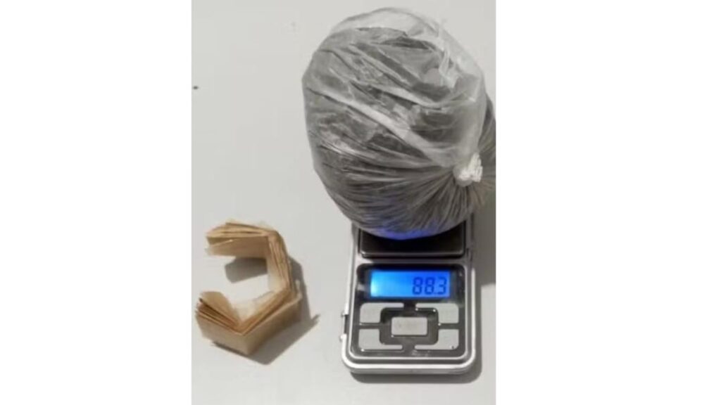 Divulgação // SEAP