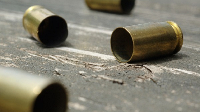 Reprodução // Agência Brasil