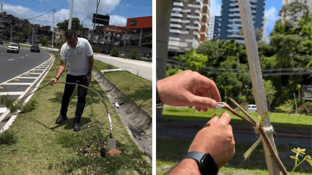 Foto: Reprodução / Redes Sociais 