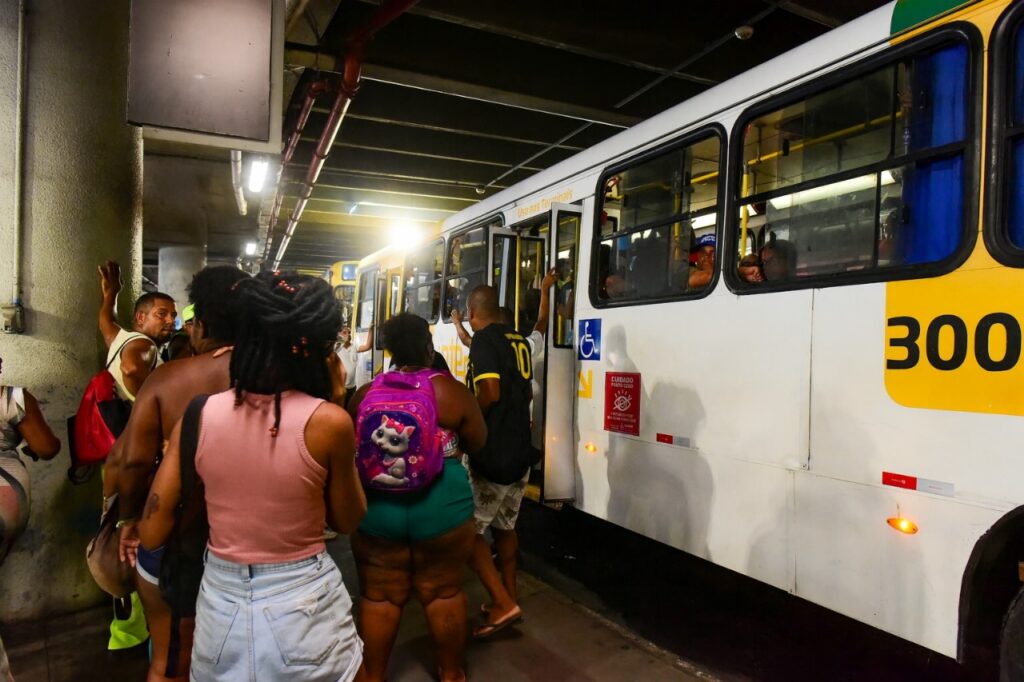 Divulgação
