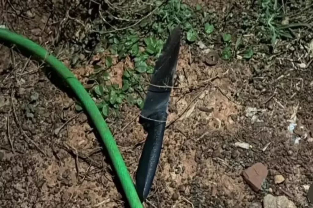 Foto: Divulgação / PMMG