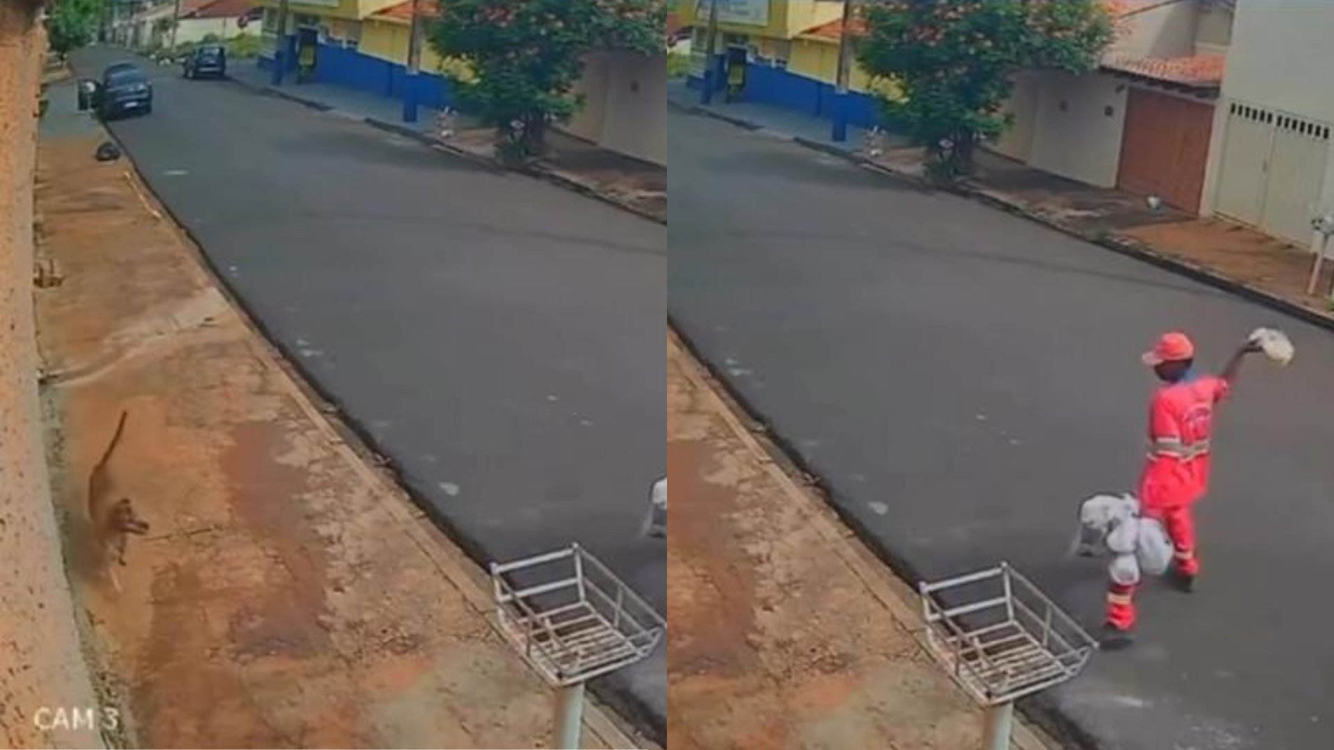 Foto: Reprodução / Redes Sociais