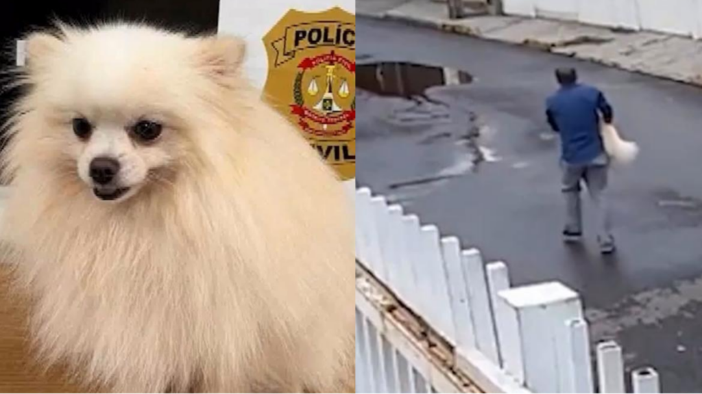 Foto: Reprodução / SBT News