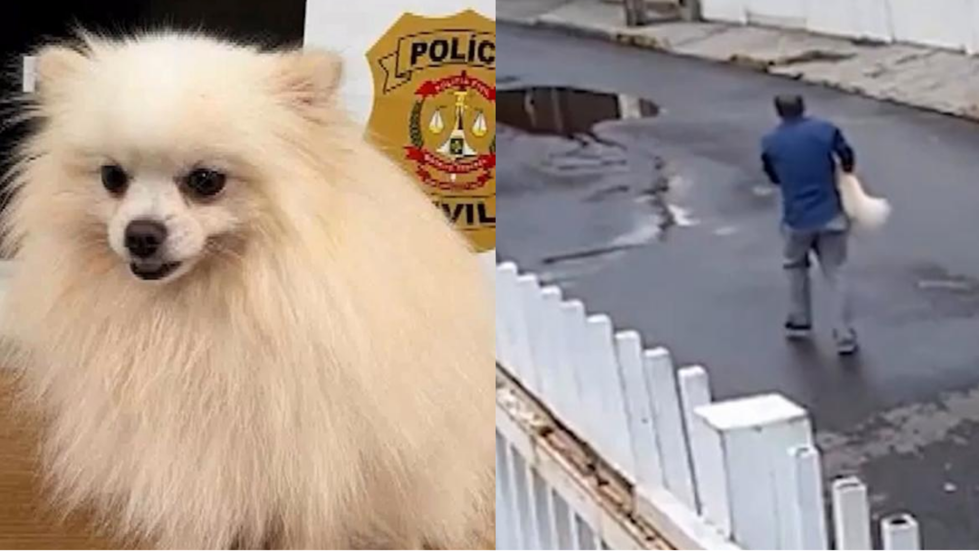 Foto: Reprodução / SBT News