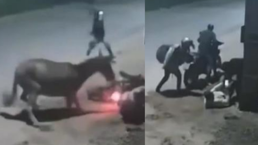 Foto: Reprodução / Redes Sociais