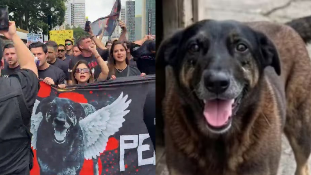 Foto: Reprodução / Instagram / Marcelle Moraes