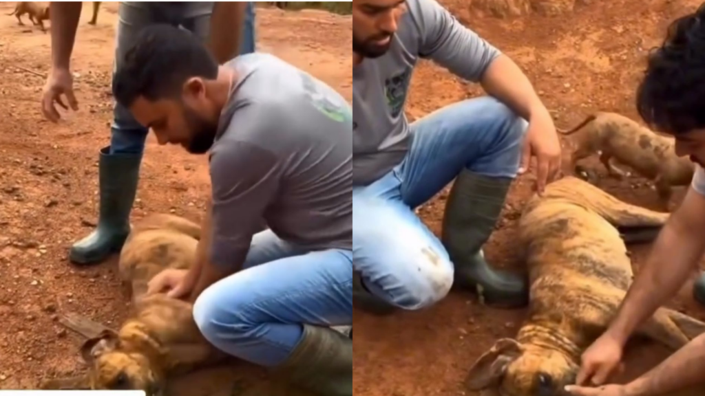 Foto: Reprodução / Redes Sociais