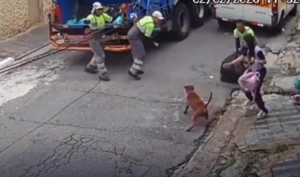Foto: Cameras de segurança