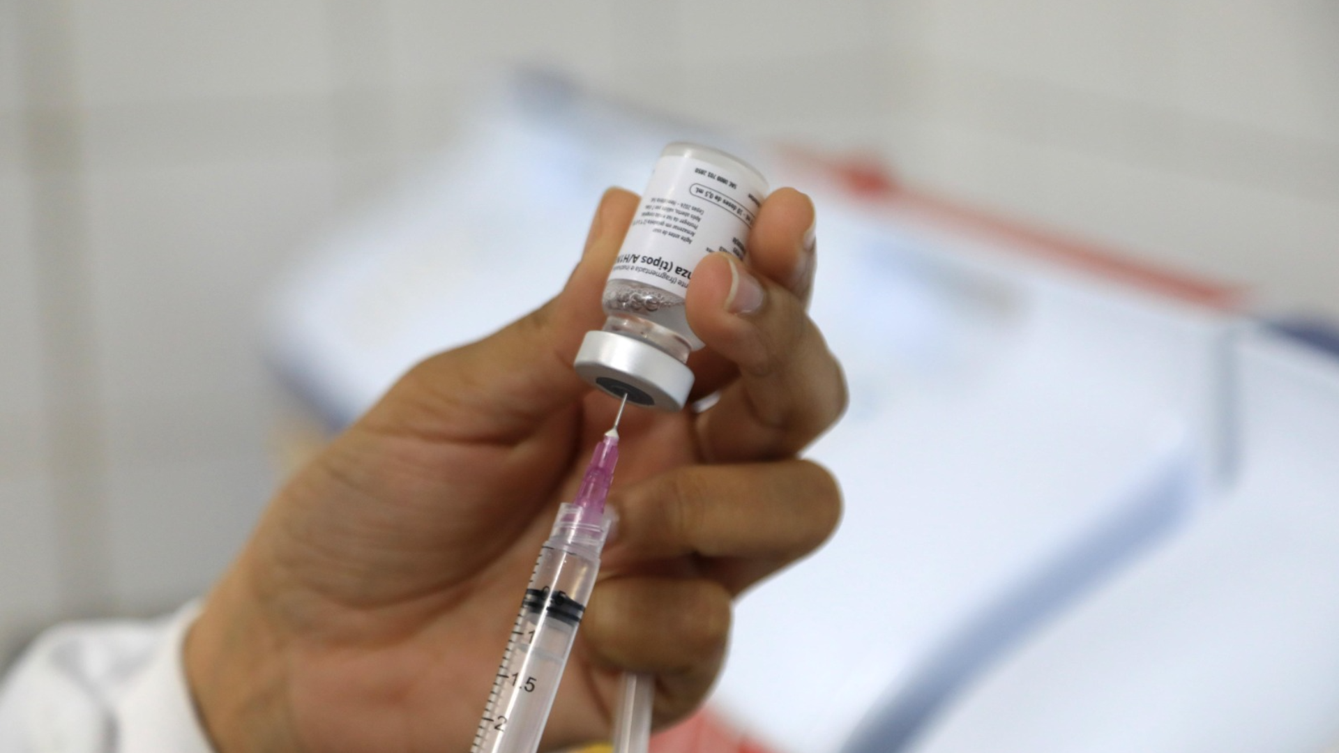 Foto: Bruno Concha / Secom PMS