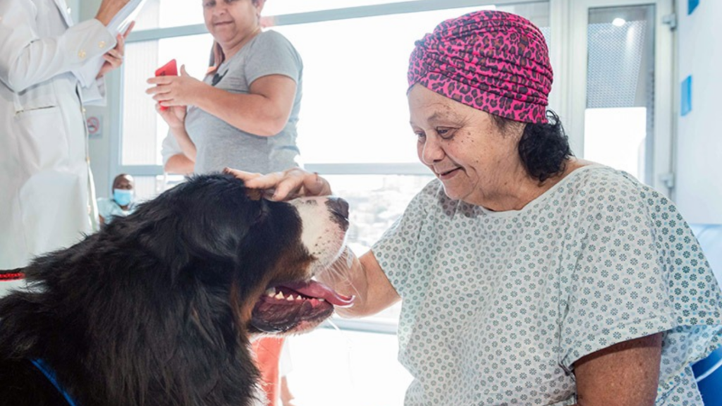 Foto: Reprodução / Redes Sociais