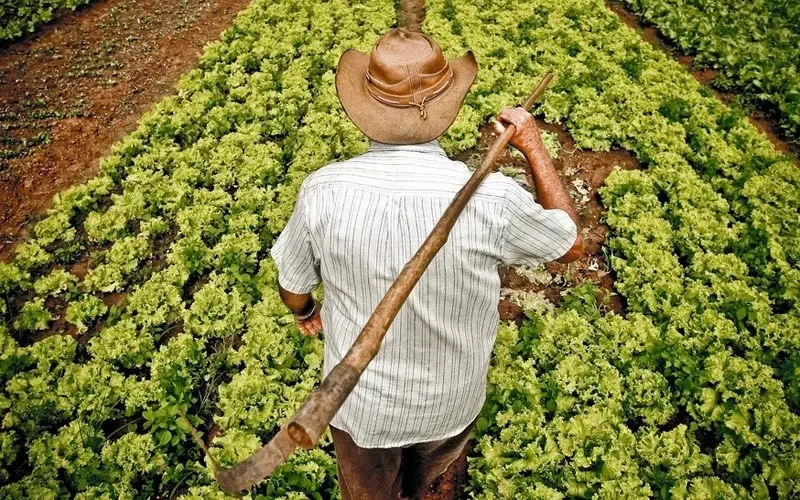 Esplanada sedia 1ª Feira da Agricultura Familiar do Litoral Norte com vasta programação cultural e técnica