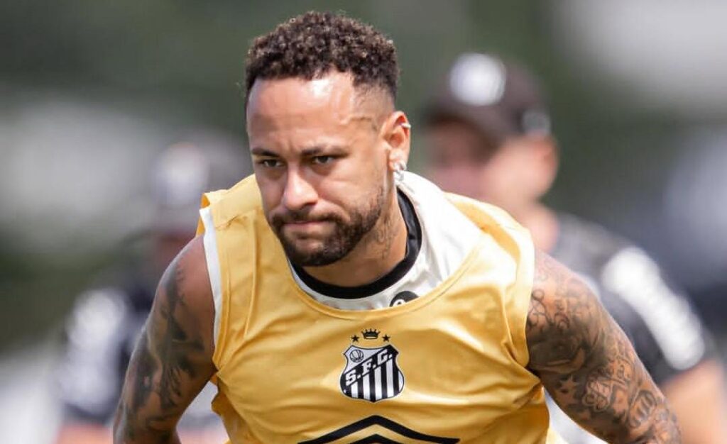 Foto: Raul Baretta/Santos FC