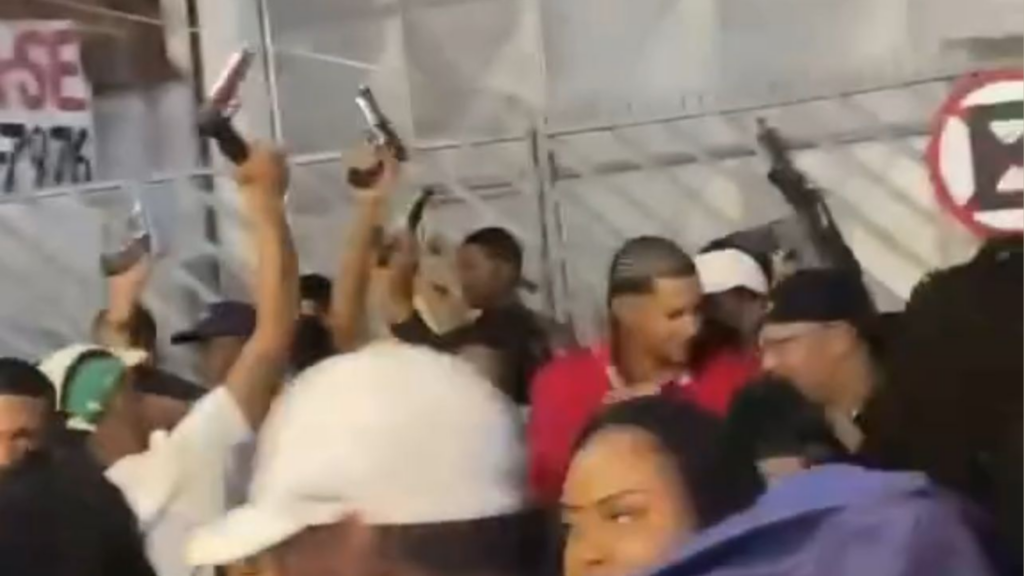 Reprodução