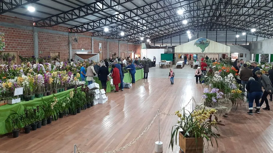 Santa Rosa recebe exposições estadual e regional de orquídeas em setembro