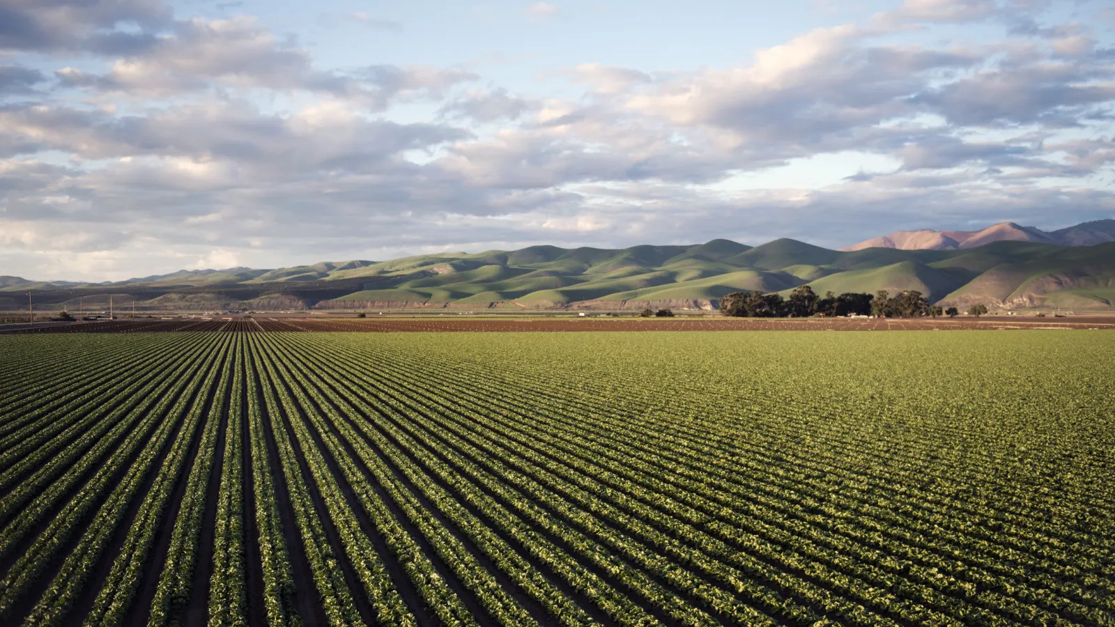 Senado aprova programa para ampliar produção nacional de fertilizantes