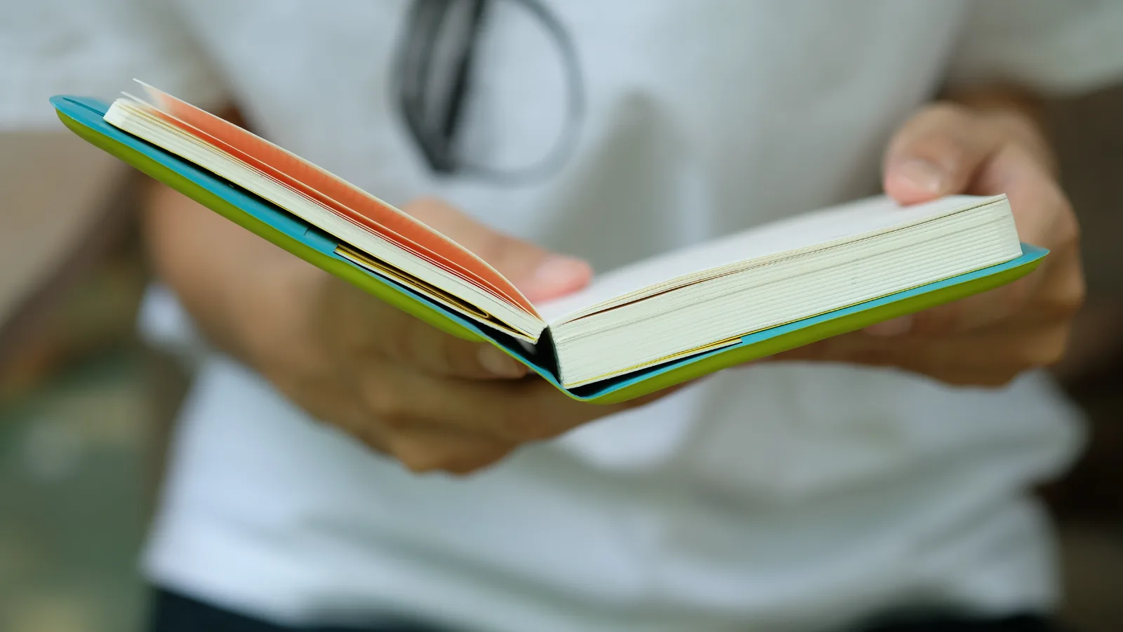 Escolas têm até 8 de setembro para escolher livros didáticos para 2027