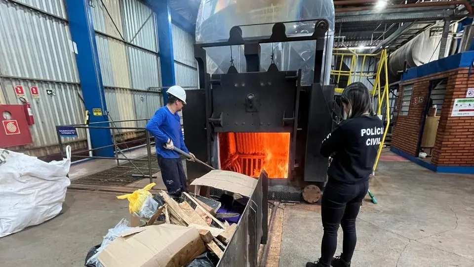 Mais de 240 quilos de drogas são incinerados na região