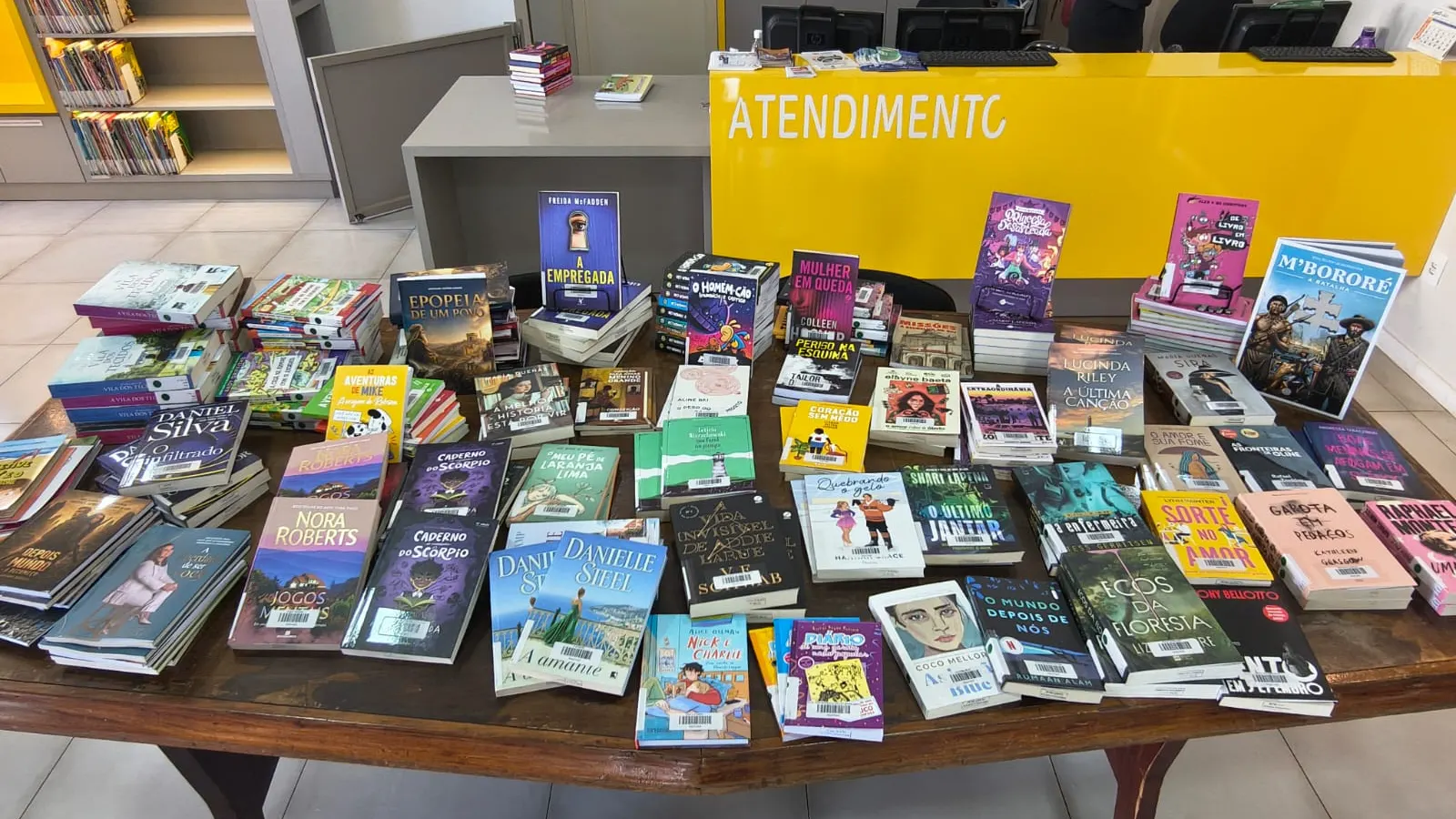 Biblioteca Olavo Bilac recebe cerca de 240 novos livros após Feira do Livro