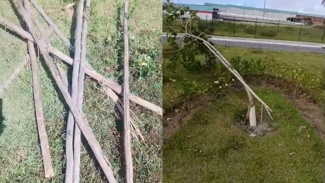 Prefeitura de Lauro de Freitas repudia vandalismo contra projeto ambiental